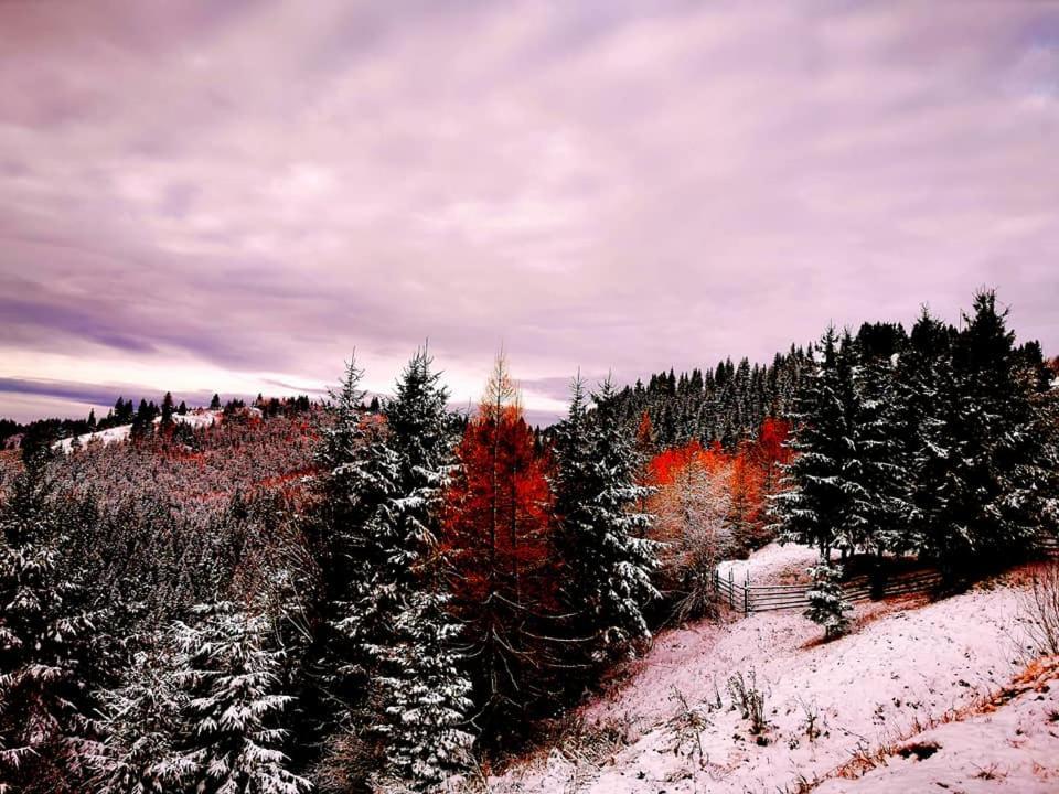 Antal Apartmans Lunca De Sus Kulcsoshaz Gyimesfelsolok Bagian luar foto