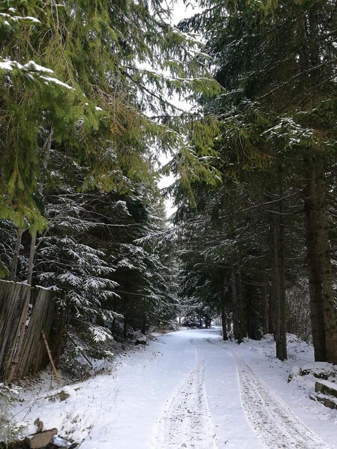 Antal Apartmans Lunca De Sus Kulcsoshaz Gyimesfelsolok Bagian luar foto