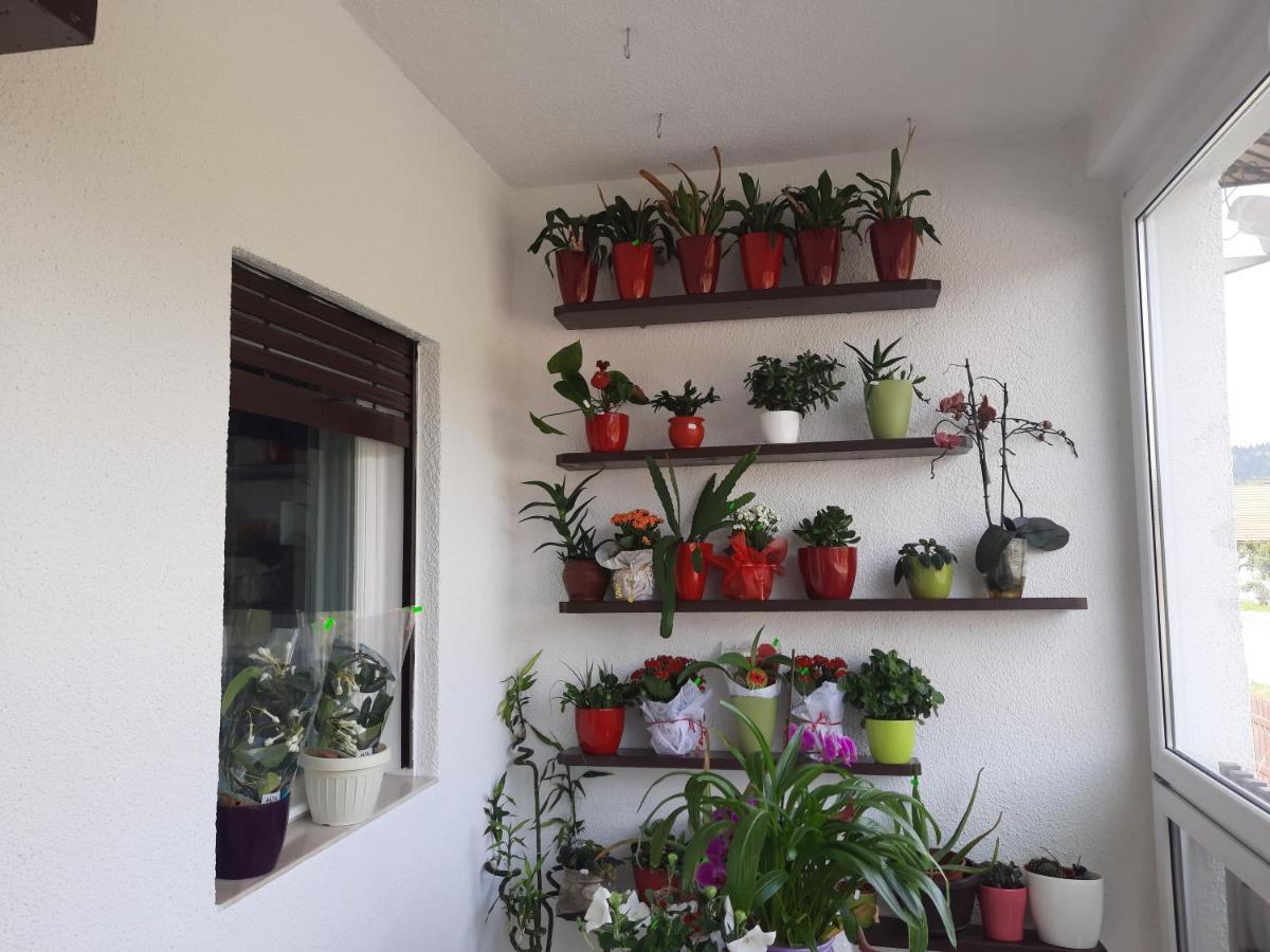 Antal Apartmans Lunca De Sus Kulcsoshaz Gyimesfelsolok Bagian luar foto