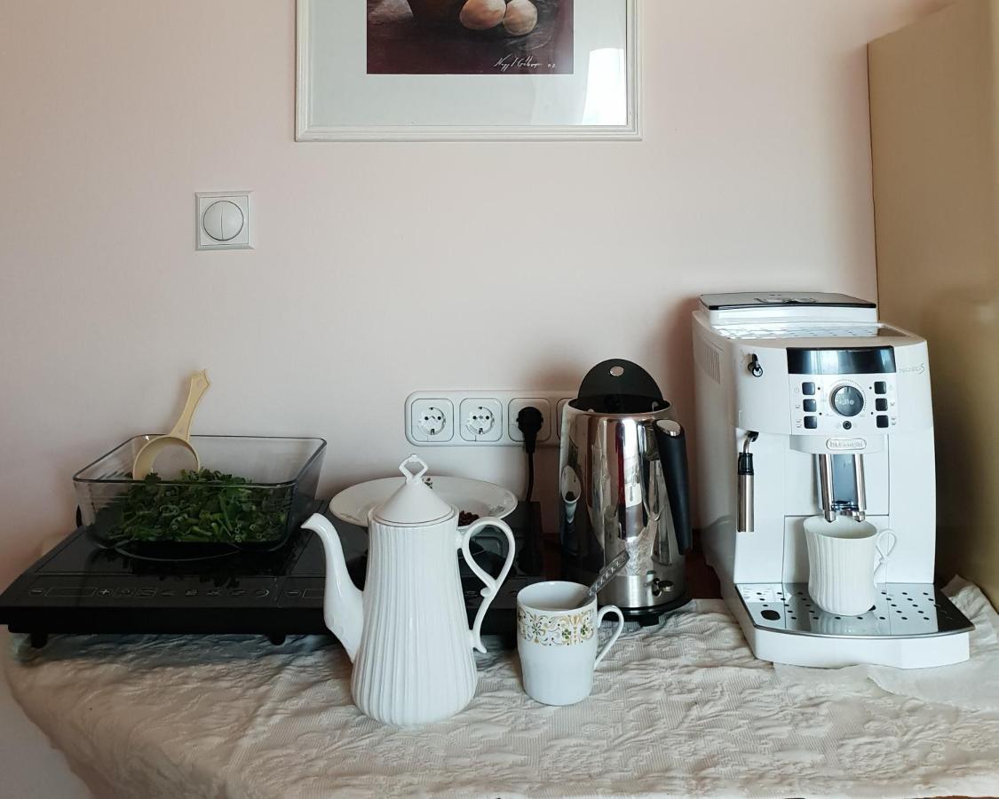 Antal Apartmans Lunca De Sus Kulcsoshaz Gyimesfelsolok Bagian luar foto