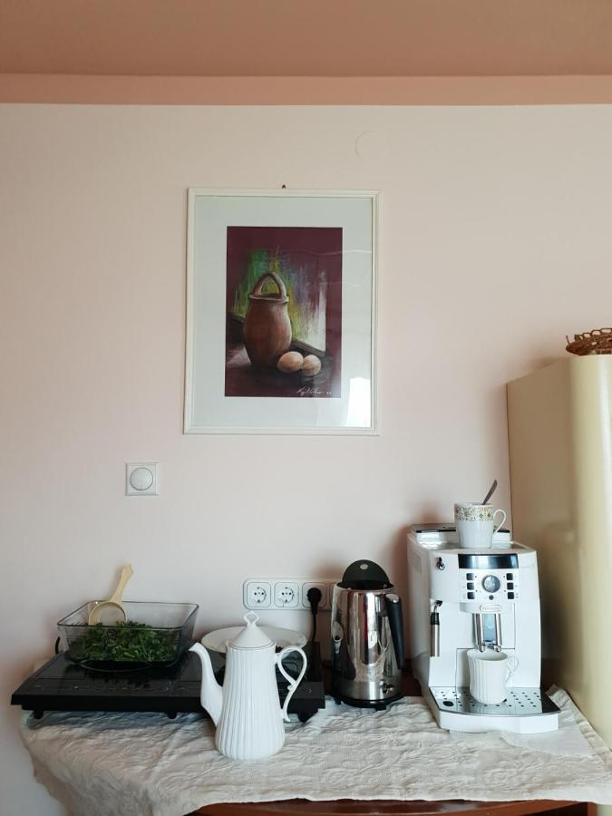Antal Apartmans Lunca De Sus Kulcsoshaz Gyimesfelsolok Bagian luar foto